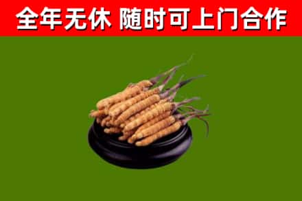 婺源县烟酒回收冬虫夏草.jpg
